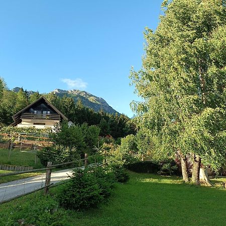 Kralj Matjaz - The Green Escape Under Alps Golnik Экстерьер фото