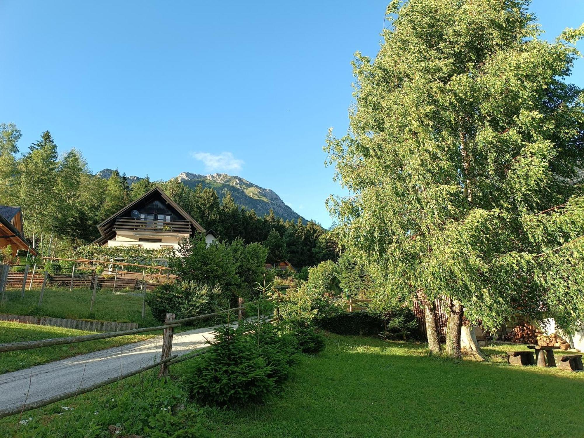 Kralj Matjaz - The Green Escape Under Alps Golnik Экстерьер фото